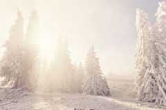 WhatsApp-Image-2021-7