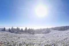 WhatsApp-Image-2021-8