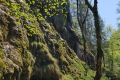 20180424_121751