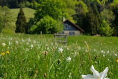 20180508_112852