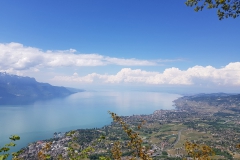 20180508_123015